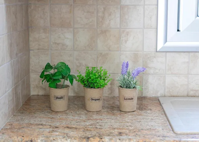 诺拉别墅 别墅 普罗塔拉斯