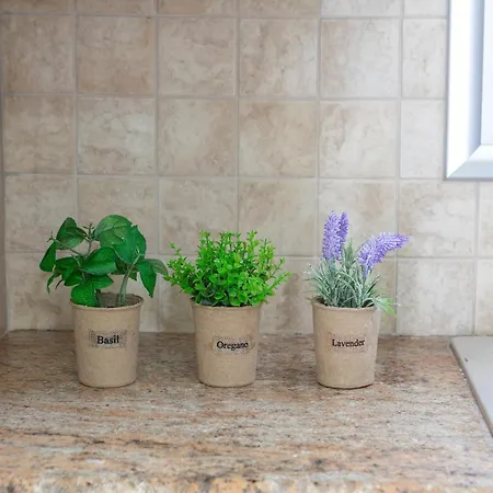 Nora 빌라 프로타라스